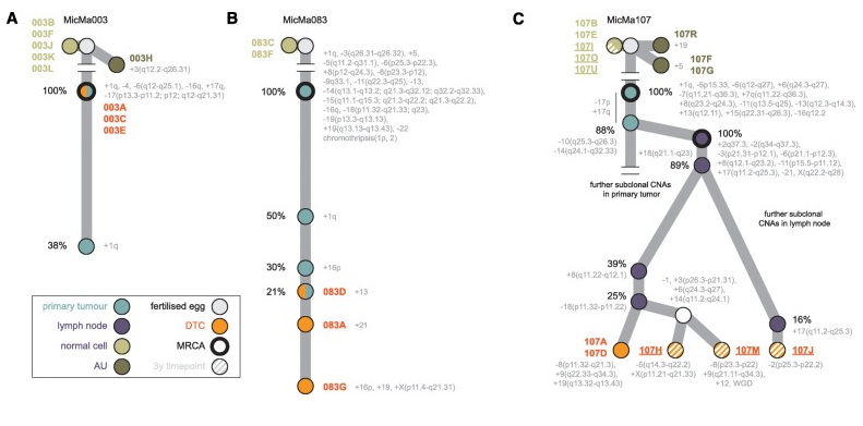 Figure 2. Normal to cancer.